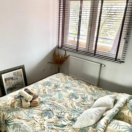 Appartement Dyrekcyjna *